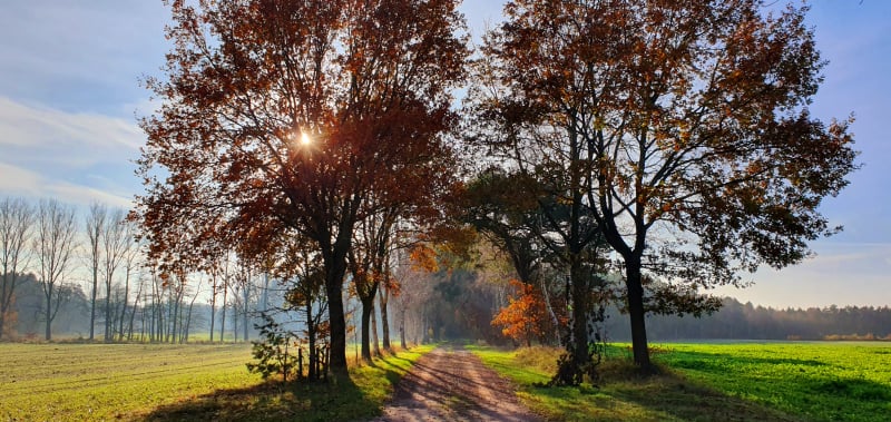 Diekberg Richtung Kuhmühlen