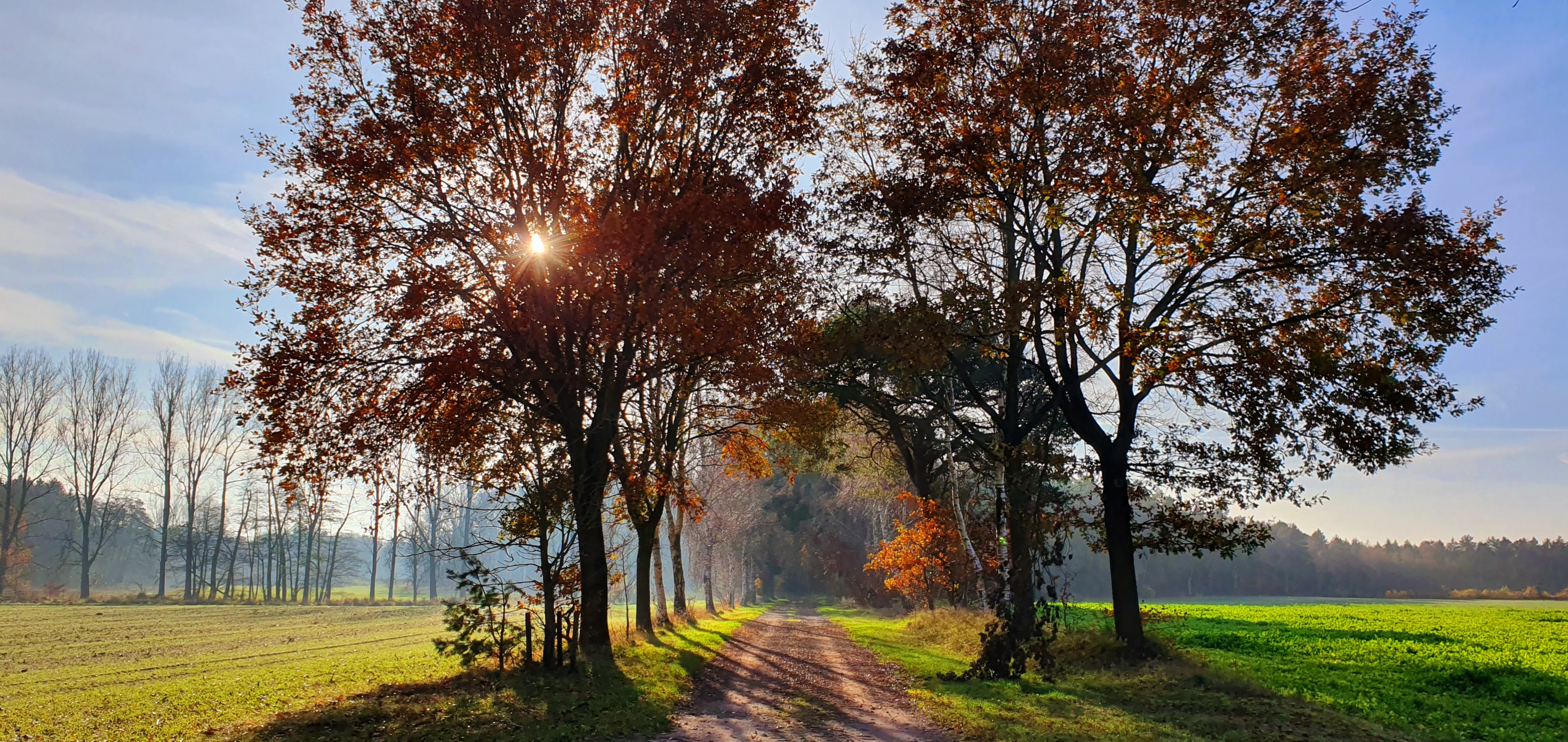 Diekberg Richtung Kuhmühlen